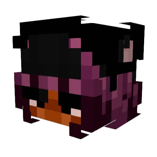 RohiniBruh Minecraft avatar head, 3D render
