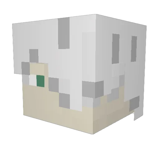 Rohnarc Minecraft avatar head, 3D render