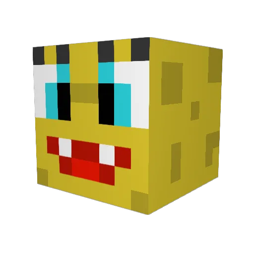 Rohrflosse5698 Minecraft avatar head, 3D render