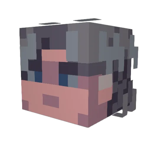 Roi4ek__ Minecraft avatar head, 3D render