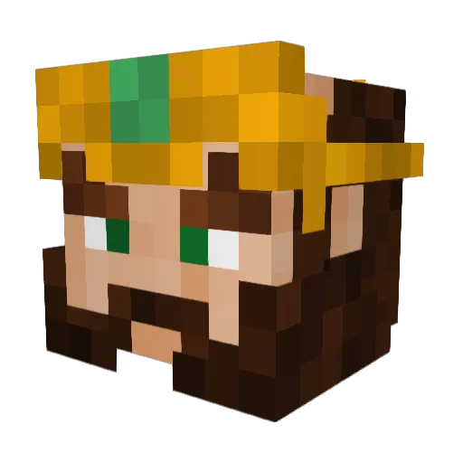 Roi_ Minecraft avatar head, 3D render