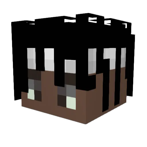 Roi_Erick Minecraft avatar head, 3D render