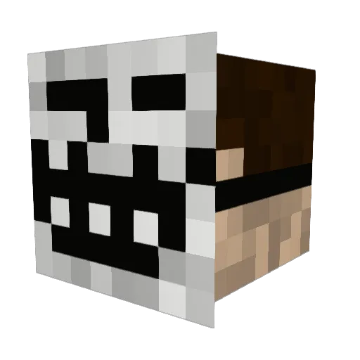 Roiik16 Minecraft avatar head, 3D render