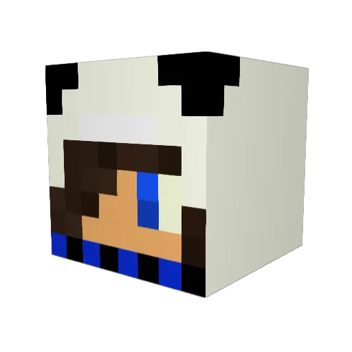 Roiptoor Minecraft avatar head, 3D render