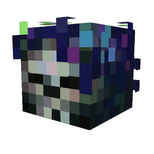 Roismp Minecraft avatar head, 3D render
