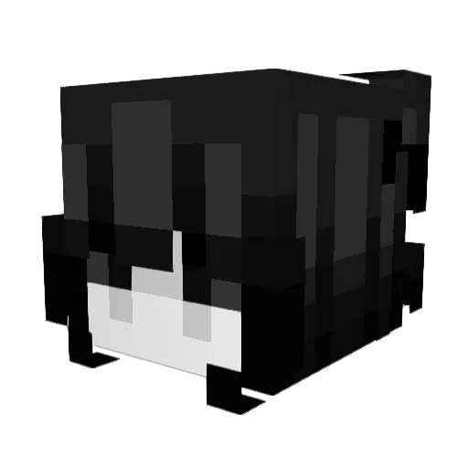 Roissy Minecraft avatar head, 3D render