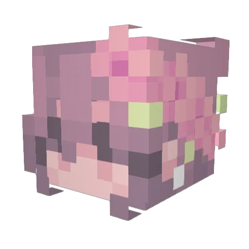 Roizor Minecraft avatar head, 3D render