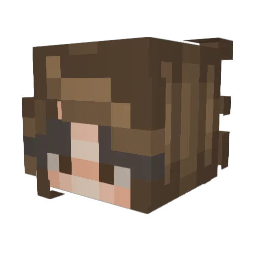 Rojare Minecraft avatar head, 3D render