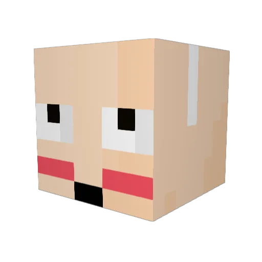 RojasEche Minecraft avatar head, 3D render