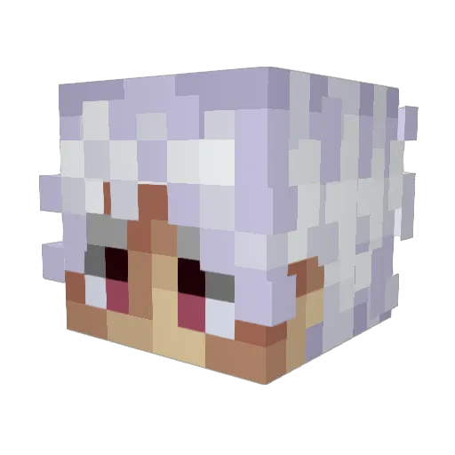 Rojaxk2 Minecraft avatar head, 3D render