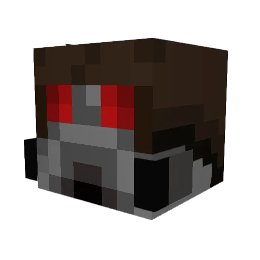 RojiRaRa79 Minecraft avatar head, 3D render