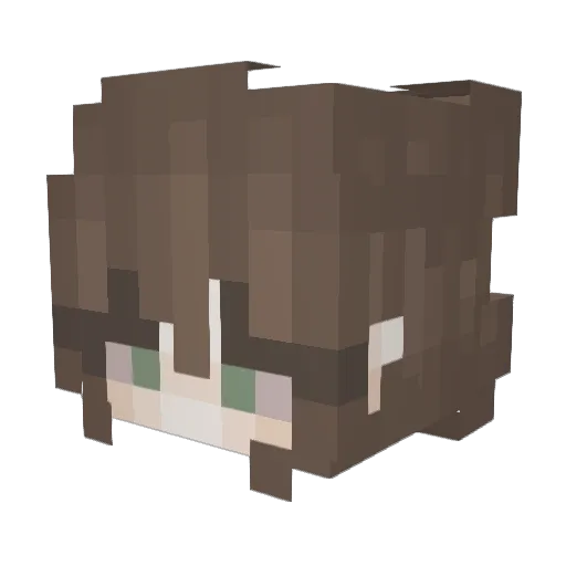 Roji_runi Minecraft avatar head, 3D render