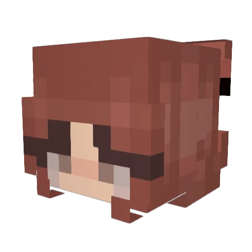 Rojit4 Minecraft avatar head, 3D render