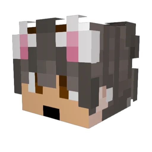 RojoM Minecraft avatar head, 3D render