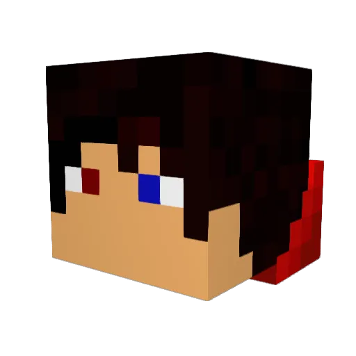 Rojos Minecraft avatar head, 3D render