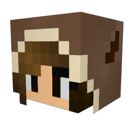 RokIsFit Minecraft avatar head, 3D render
