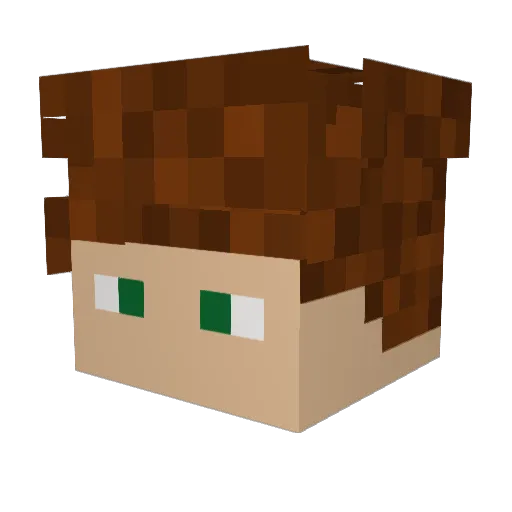 RokaCraft Minecraft avatar head, 3D render