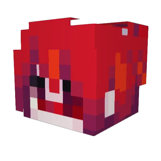 Rokawoo Minecraft avatar head, 3D render