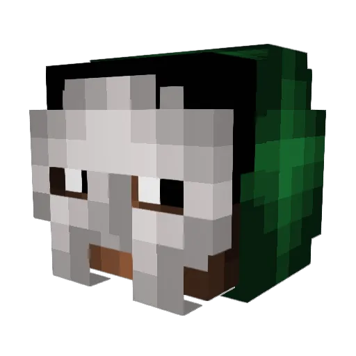 Roke_be Minecraft avatar head, 3D render