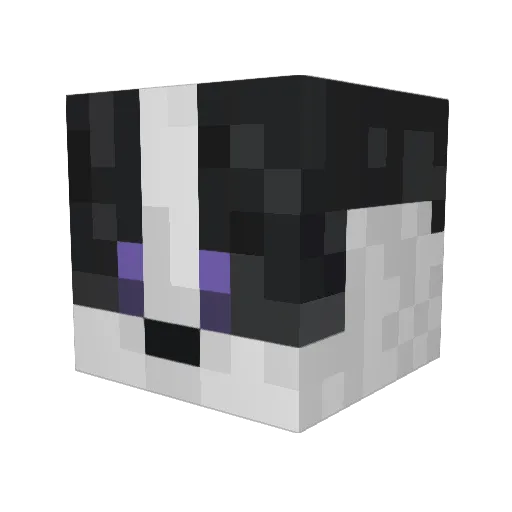 Rokenbok411 Minecraft avatar head, 3D render