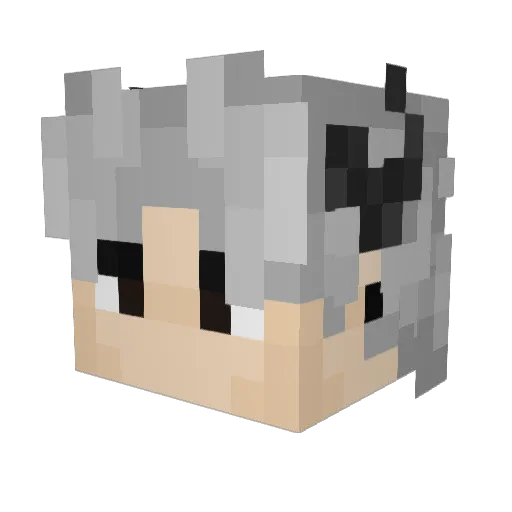 RokerAV Minecraft avatar head, 3D render