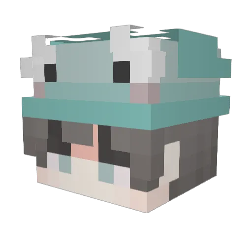Rokerlan Minecraft avatar head, 3D render
