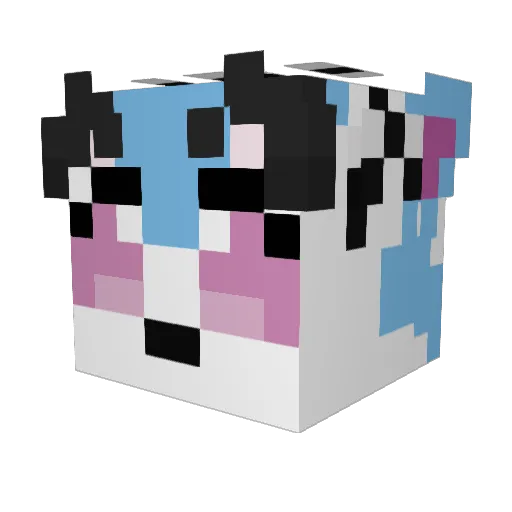 RokhaFedth Minecraft avatar head, 3D render