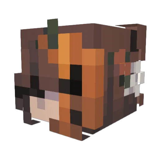 Rokhala Minecraft avatar head, 3D render