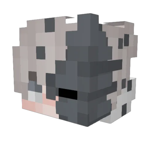 RokhanChop Minecraft avatar head, 3D render