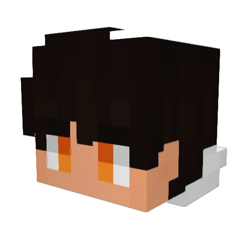 Roki220 Minecraft avatar head, 3D render