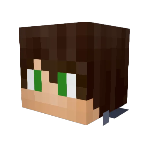 RokiePlus Minecraft avatar head, 3D render