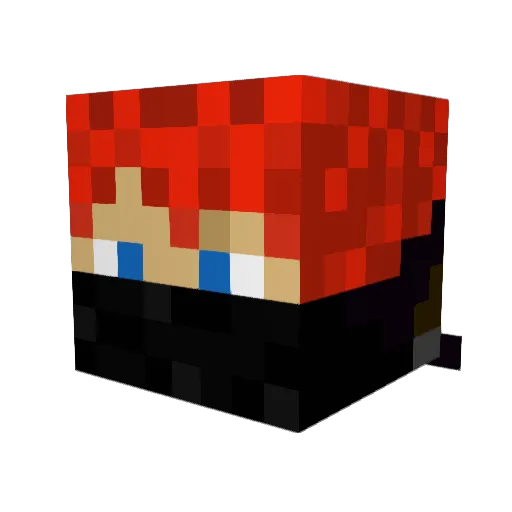 Rokiravage Minecraft avatar head, 3D render