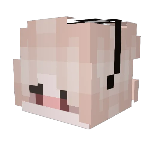 Rokkuima Minecraft avatar head, 3D render