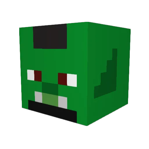 Roknasy Minecraft avatar head, 3D render