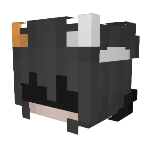 Roksixdd Minecraft avatar head, 3D render