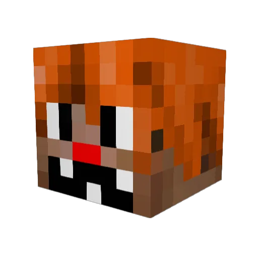 Roku250 Minecraft avatar head, 3D render