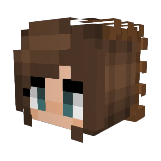 Rokulec Minecraft avatar head, 3D render