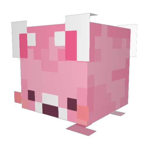 RolanGang Minecraft avatar head, 3D render