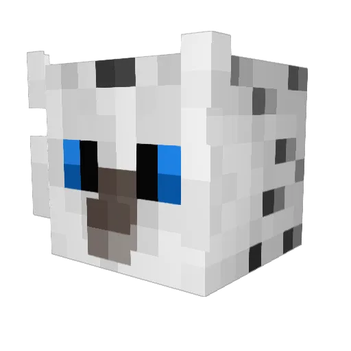 RolandX2 Minecraft avatar head, 3D render