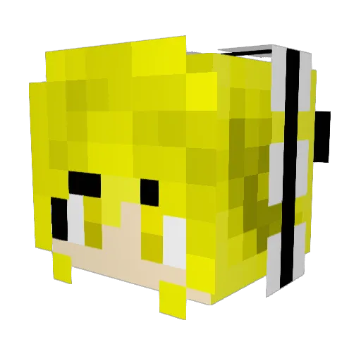 Roler_bo Minecraft avatar head, 3D render