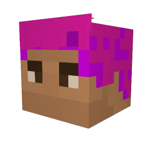 Rolexus_Tequila Minecraft avatar head, 3D render