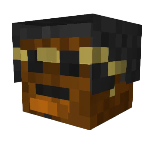 Rolikage7 Minecraft avatar head, 3D render