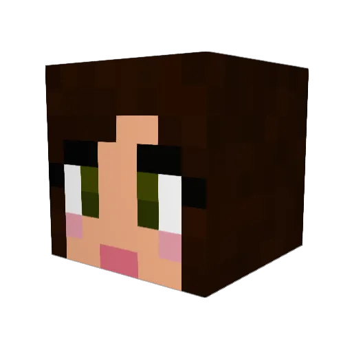 RolinWang Minecraft avatar head, 3D render