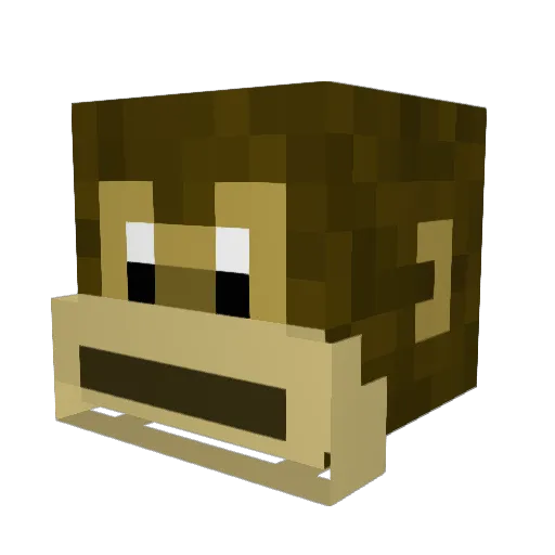 Roll_Tide_251 Minecraft avatar head, 3D render