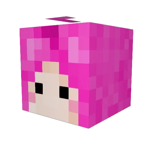 RollatorRudi Minecraft avatar head, 3D render