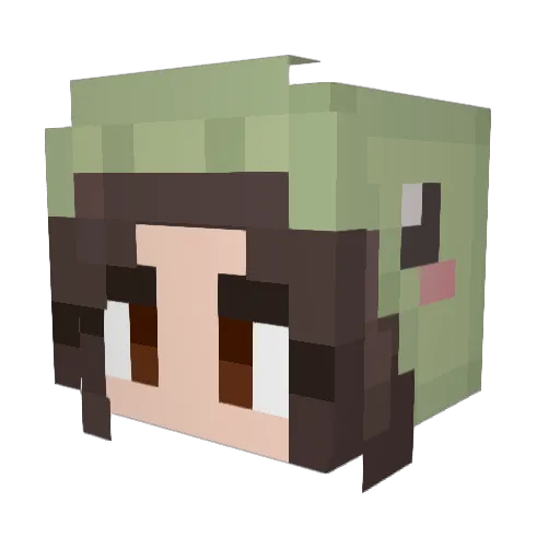 RolledOverTurtle Minecraft avatar head, 3D render