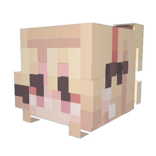 RollerCoaster234 Minecraft avatar head, 3D render