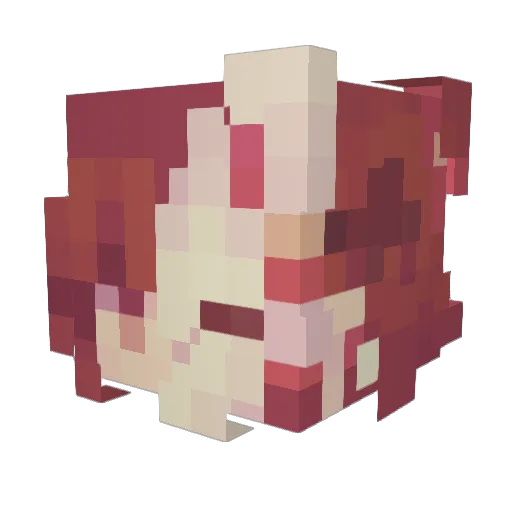 Roller_Skater_ Minecraft avatar head, 3D render