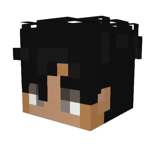Rollerdig Minecraft avatar head, 3D render