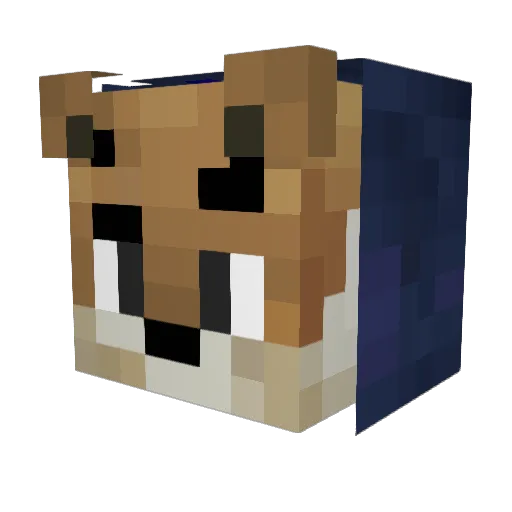 RollieMcFly Minecraft avatar head, 3D render